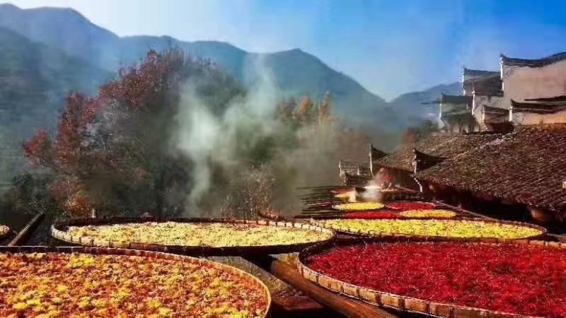 Xishan Wutong Qinyuan Huangshan Bagian luar foto